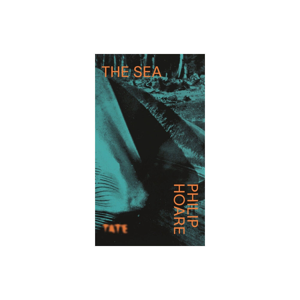 Tate Publishing Look Again: The Sea (häftad, eng)