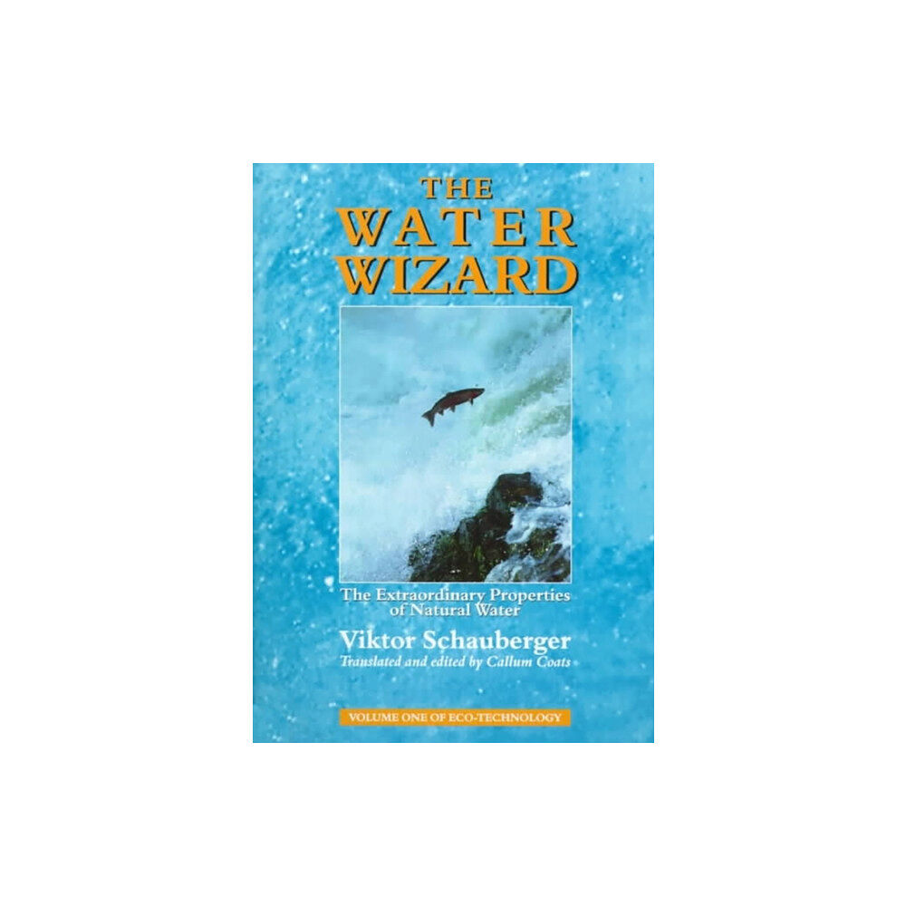 Gill The Water Wizard (häftad, eng)