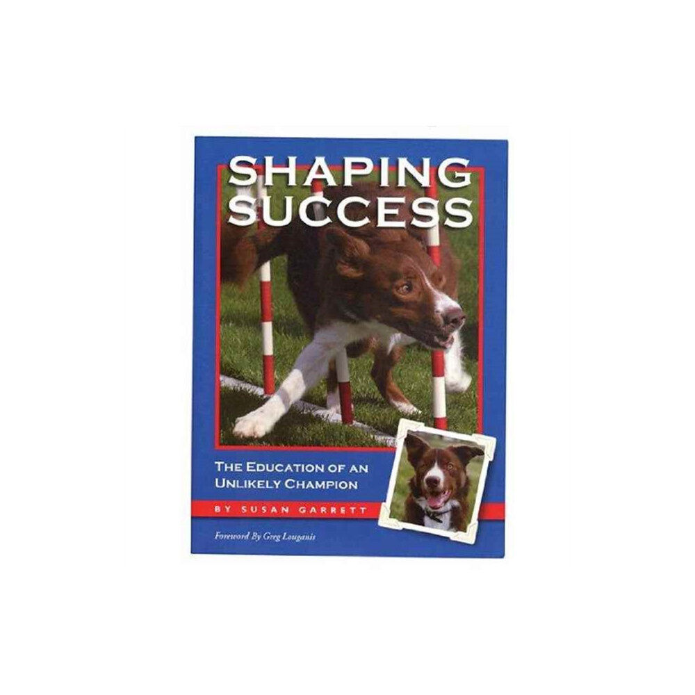 Clean Run Productions, LLC Shaping Success (häftad, eng)