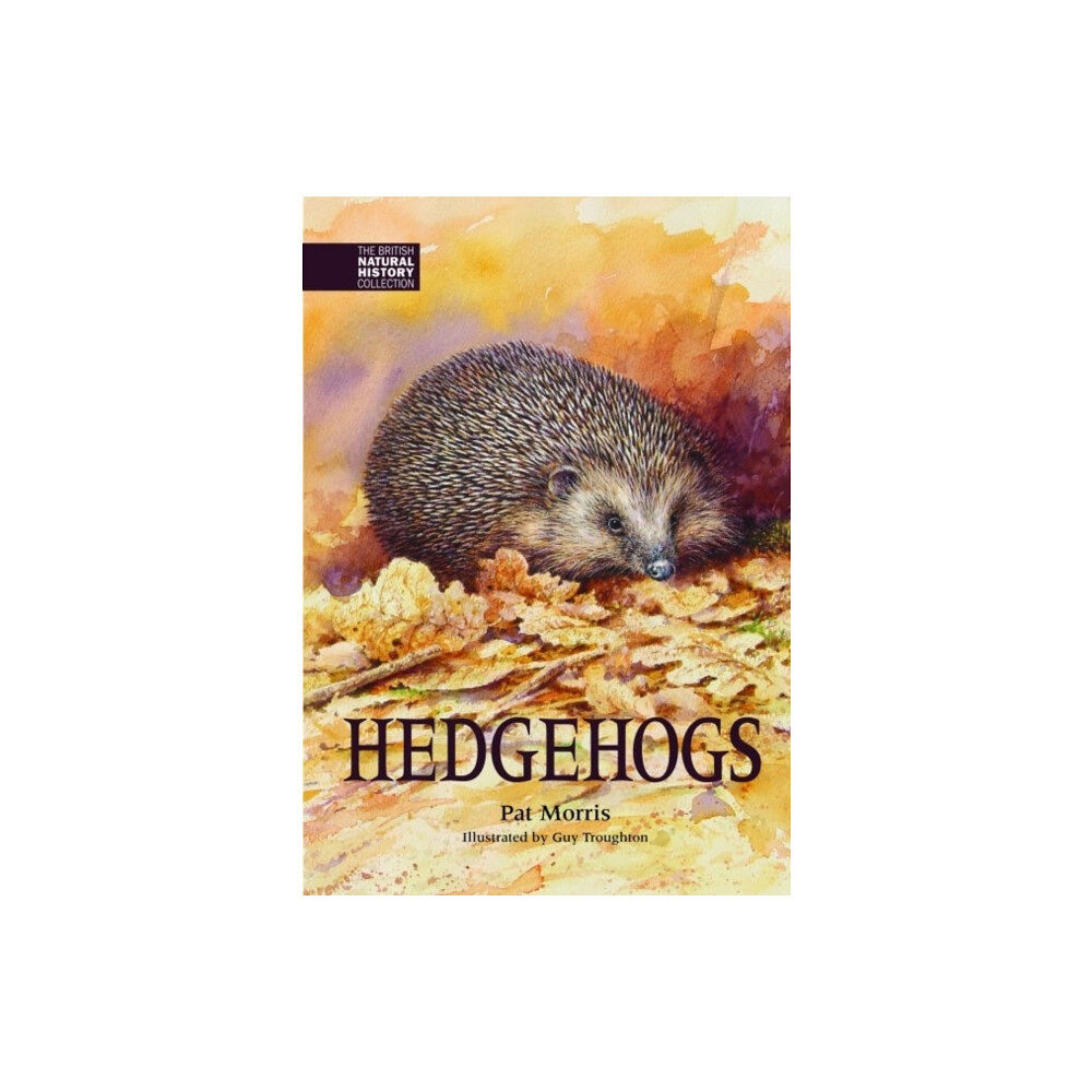 Whittet Books Ltd Hedgehogs (inbunden, eng)