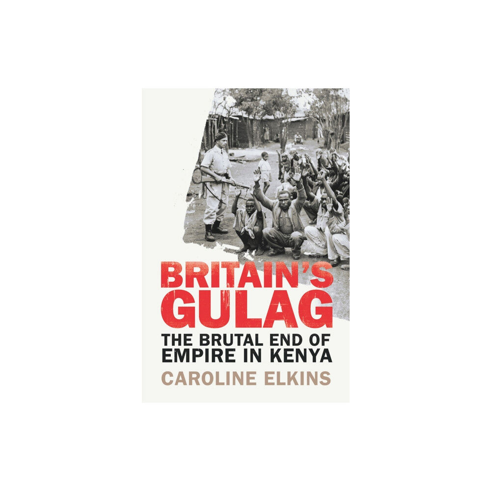 Vintage Publishing Britain's Gulag (häftad, eng)