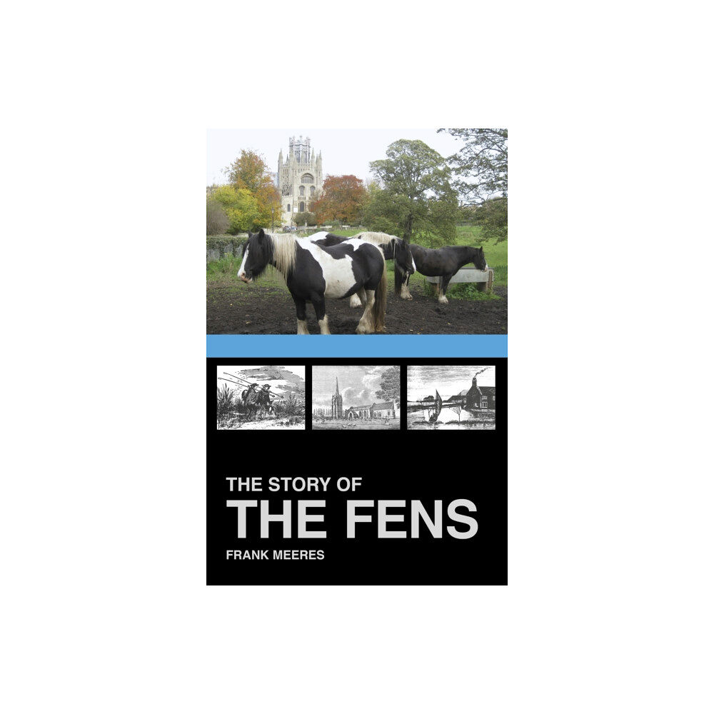 The History Press Ltd The Story of the Fens (häftad, eng)