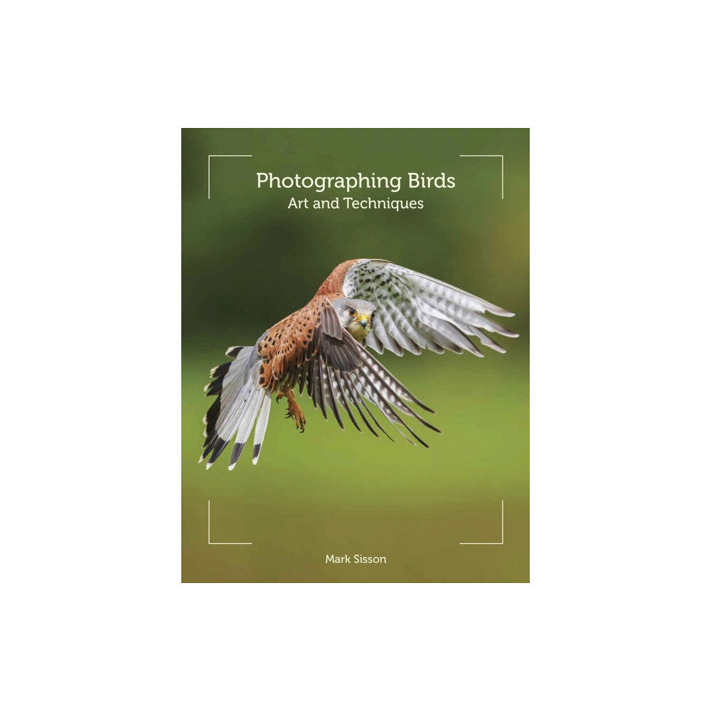 The Crowood Press Ltd Photographing Birds (häftad, eng)