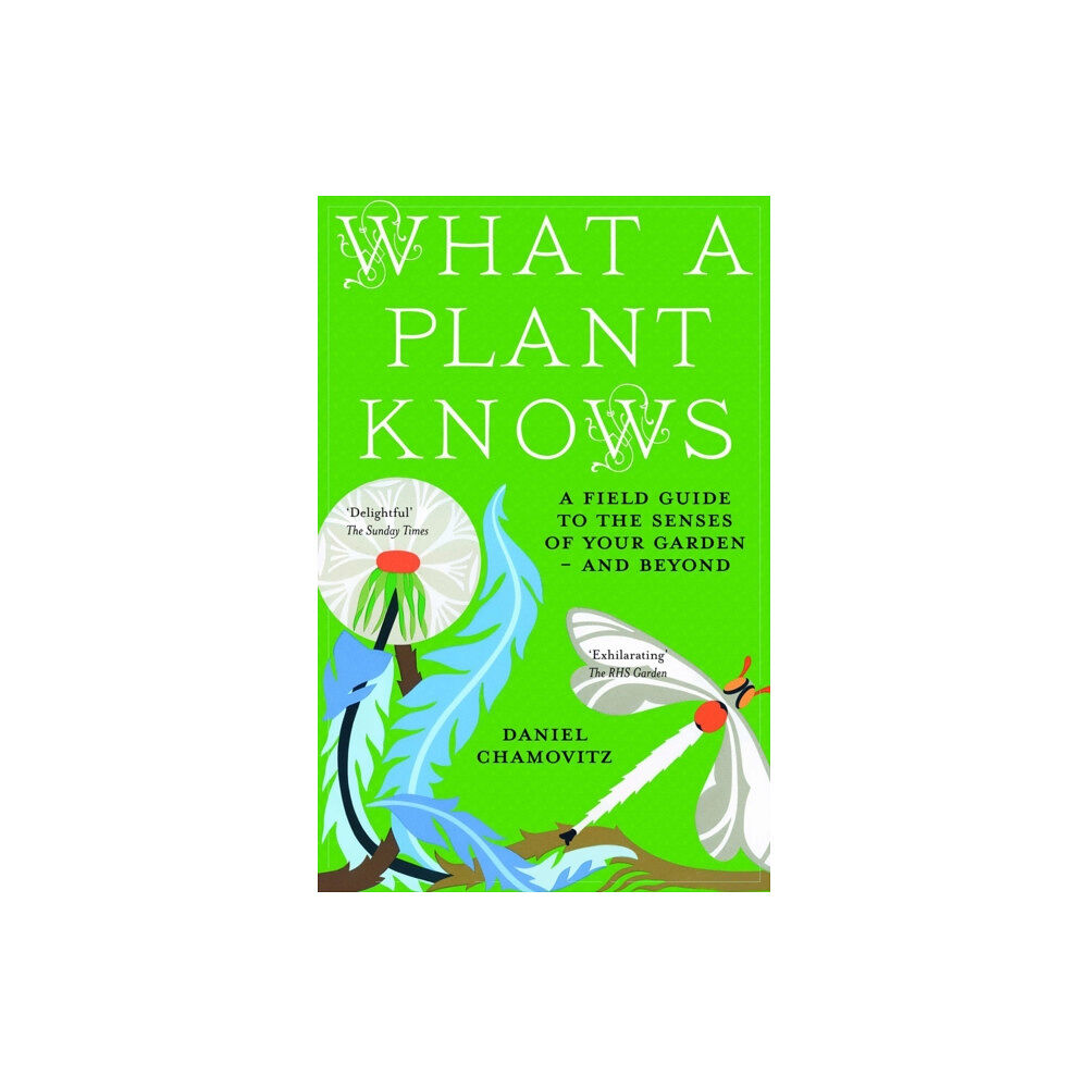 Oneworld Publications What a Plant Knows (häftad, eng)