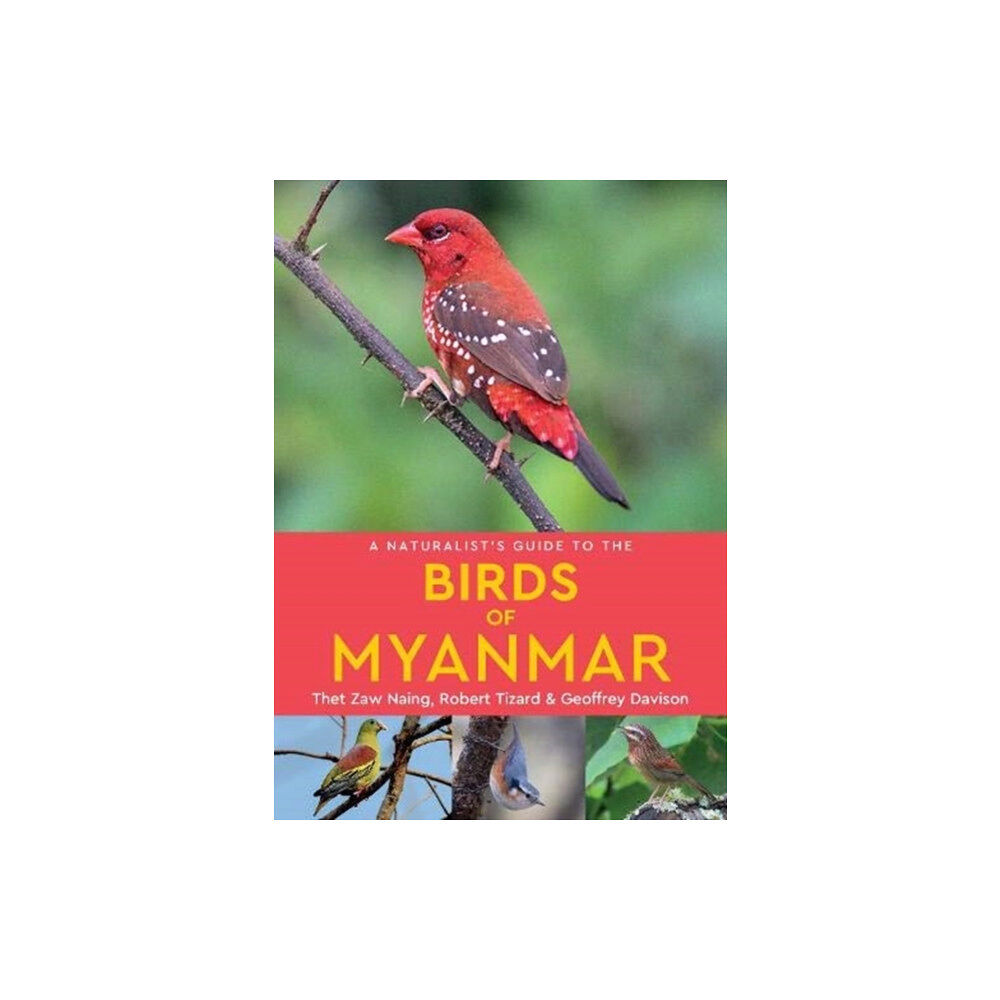 John Beaufoy Publishing Ltd A Naturalist's Guide to the Birds of Myanmar (häftad, eng)