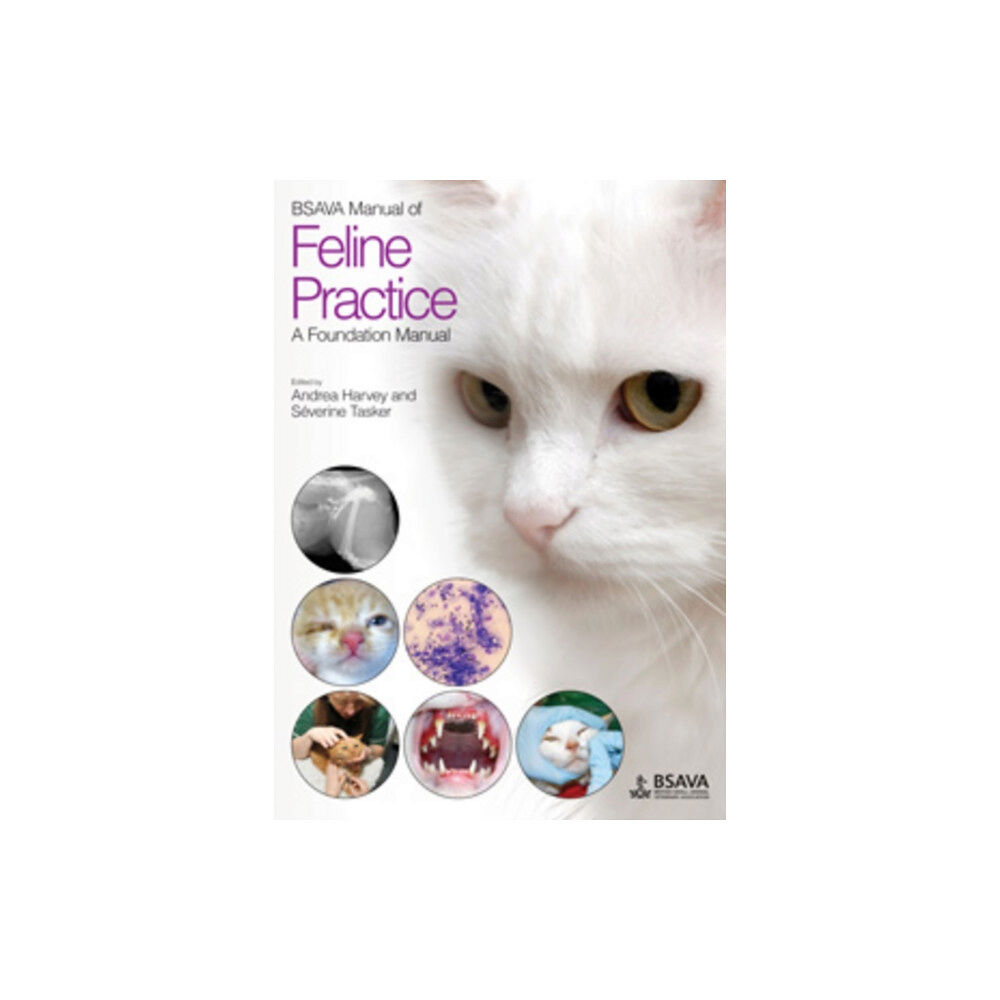 British Small Animal Veterinary Association BSAVA Manual of Feline Practice (häftad, eng)