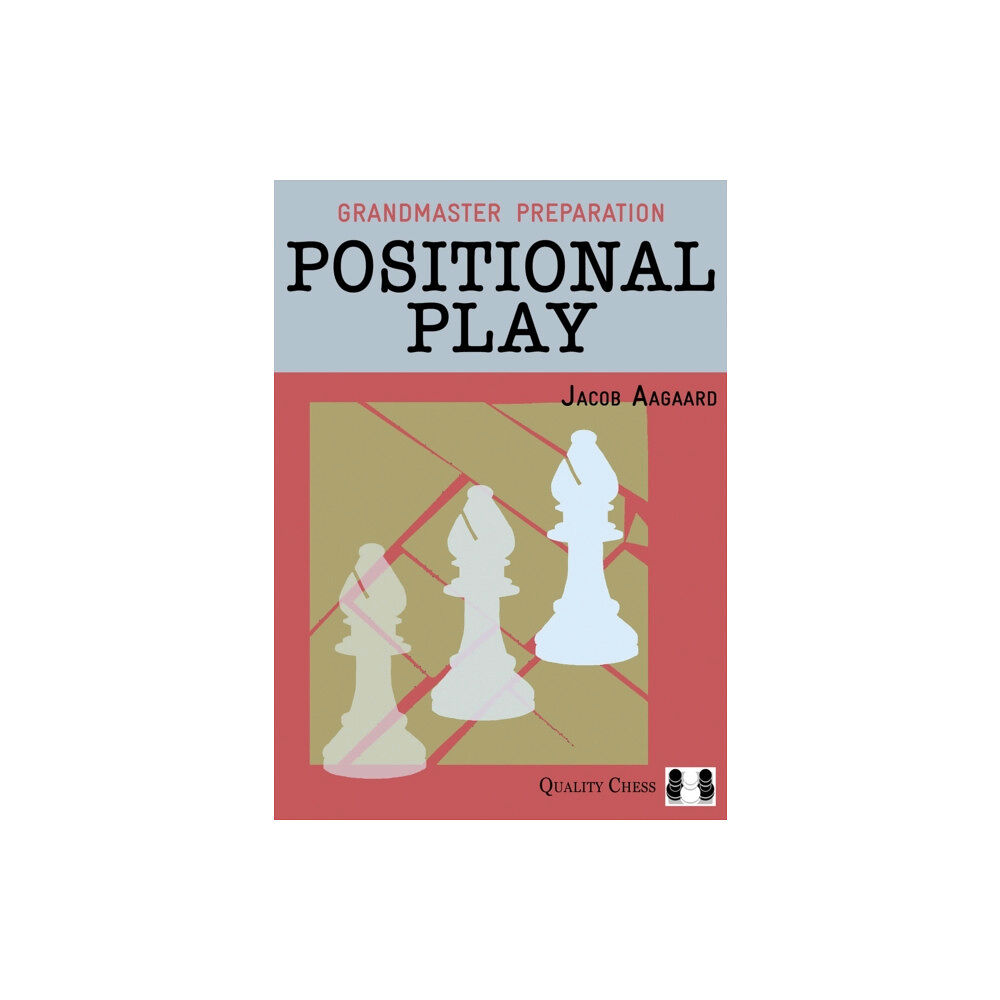 Quality Chess UK LLP Positional Play (häftad, eng)