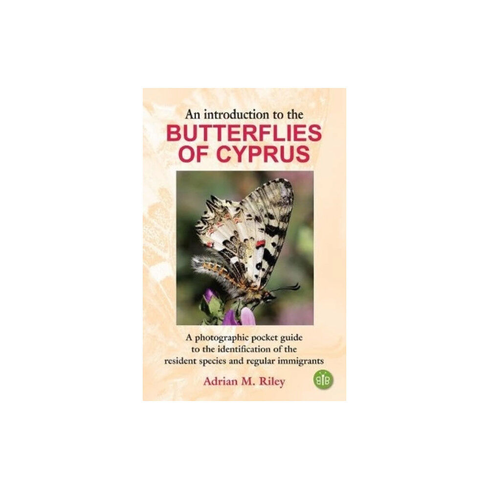 Brambleby Books An Introduction to the Butterflies of Cyprus (häftad, eng)