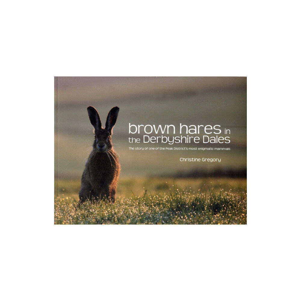 Vertebrate Publishing Ltd Brown Hares in the Derbyshire Dales (häftad, eng)