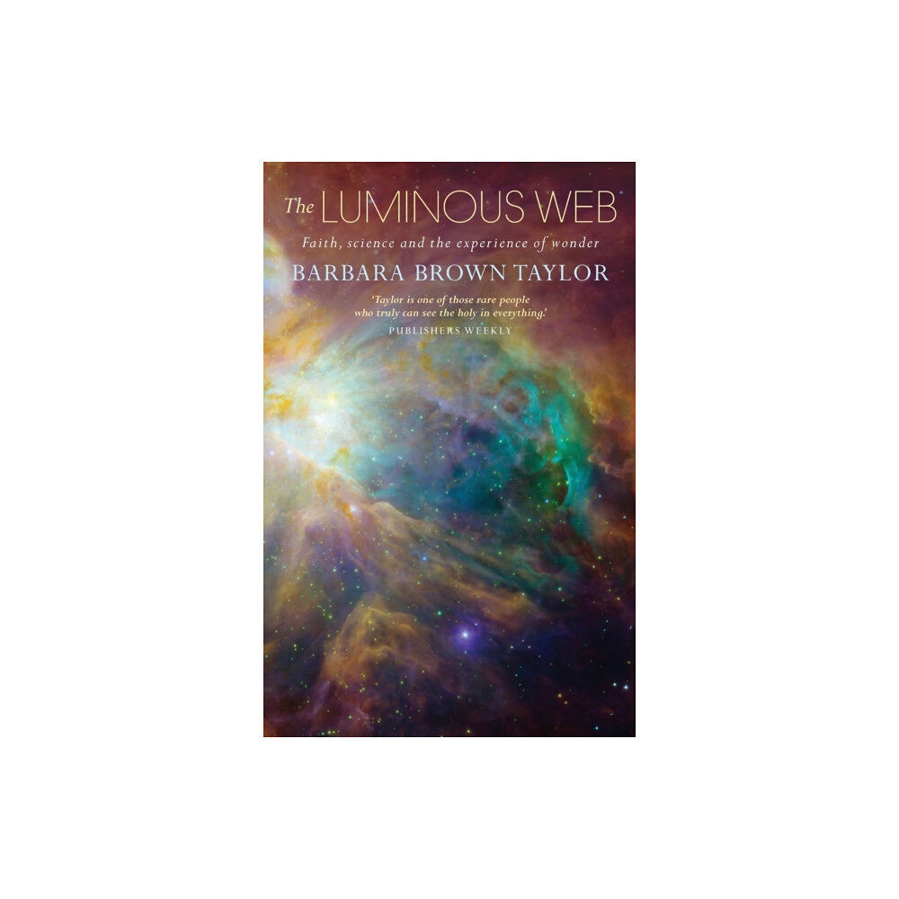 Canterbury Press Norwich The Luminous Web (häftad, eng)