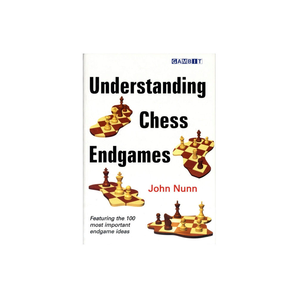Gambit Publications Ltd Understanding Chess Endgames (häftad, eng)