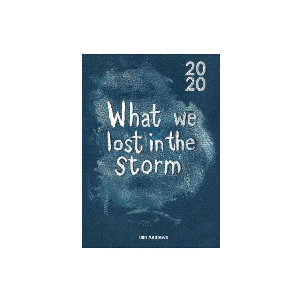 Verite CM Ltd What We Lost In The Storm (häftad, eng)