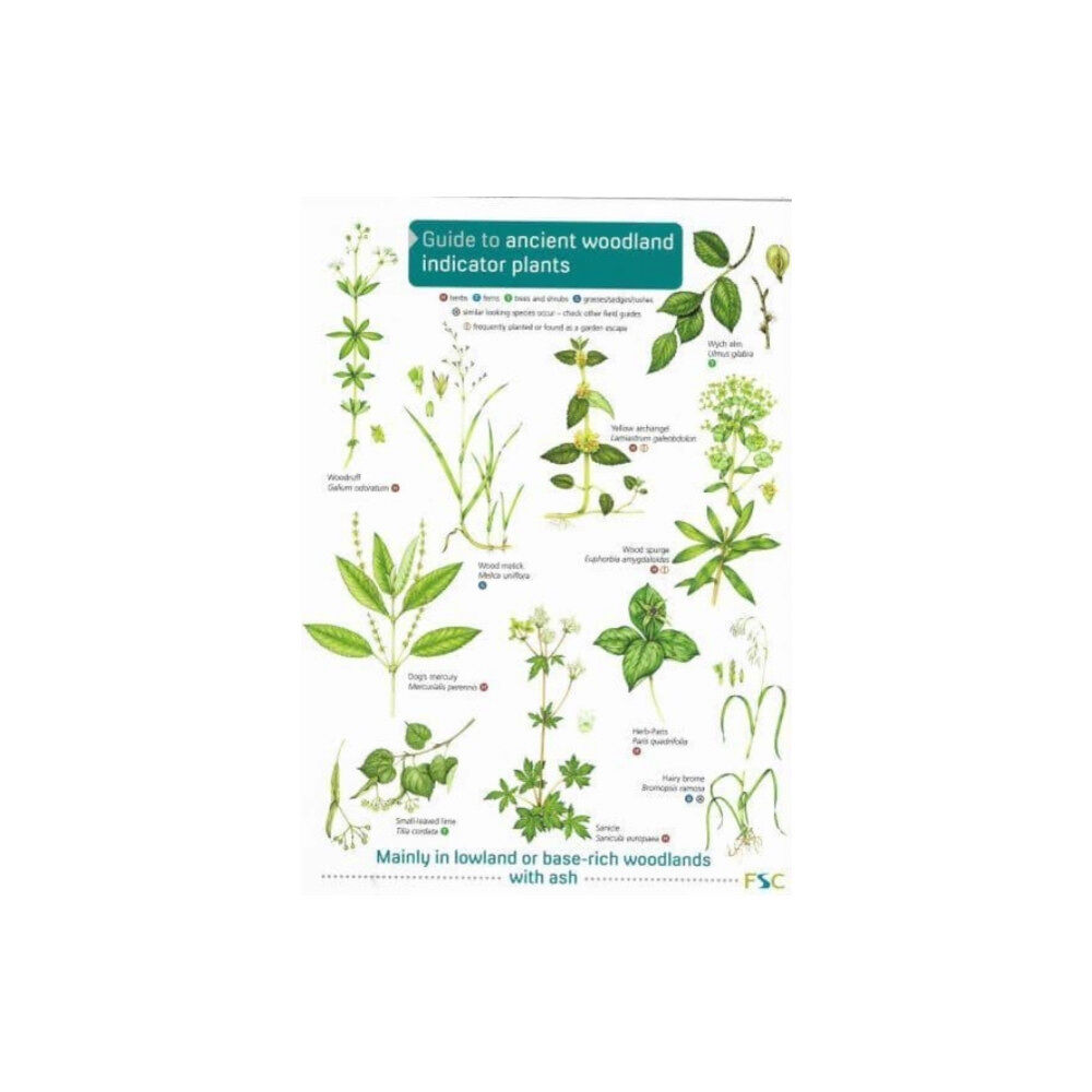 Field Studies Council Guide to Ancient Woodland Indicator Plants (häftad, eng)