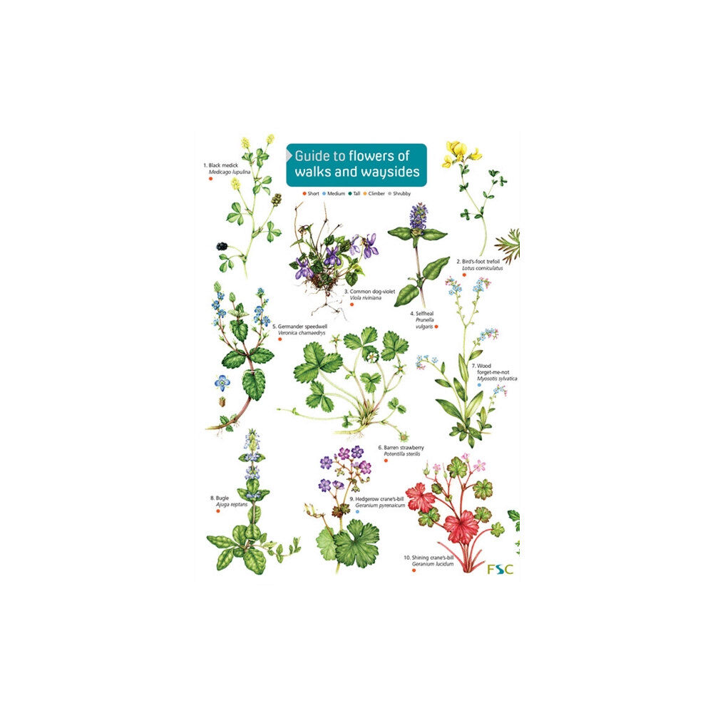 Field Studies Council Guide to flowers of walks and waysides (inbunden, eng)