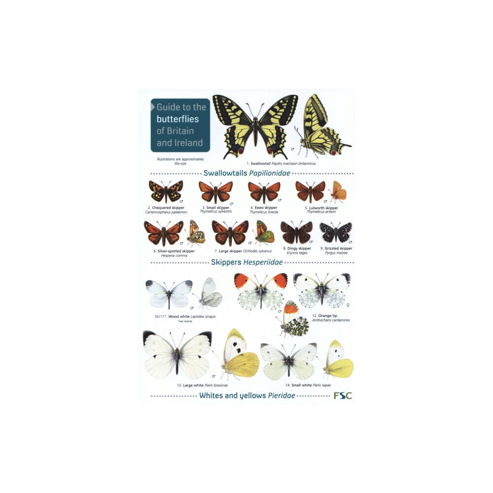 Field Studies Council Guide to the butterflies of Britain and Ireland (häftad, eng)