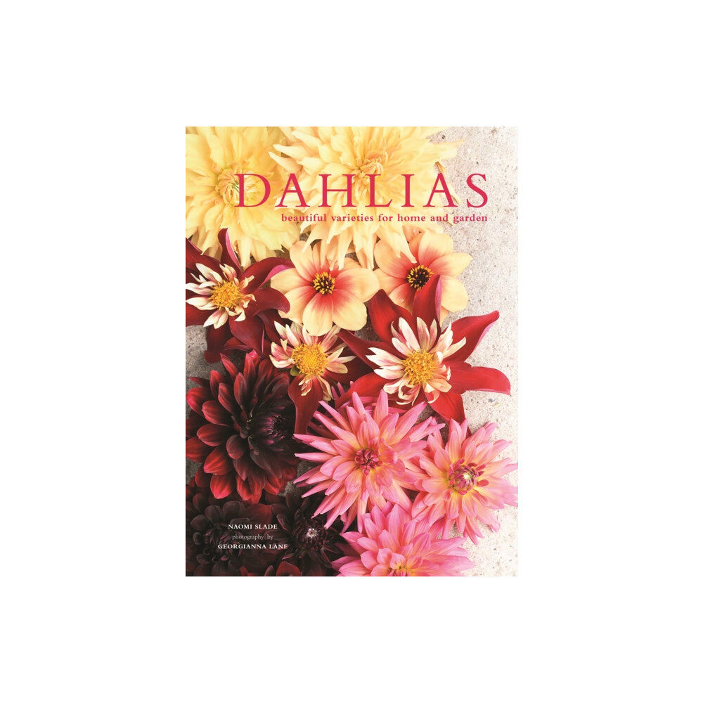 HarperCollins Publishers Dahlias (inbunden, eng)