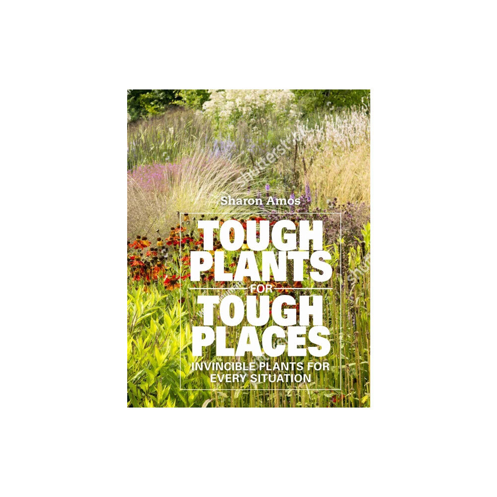 Gemini Books Group Ltd Tough Plants for Tough Places (inbunden, eng)