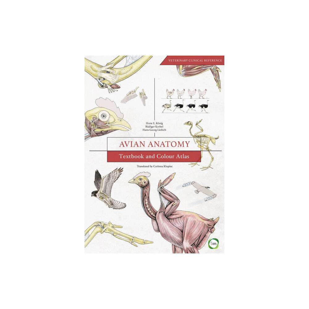 5M Books Ltd Avian Anatomy 2nd Edition: Textbook and Colour Atlas (inbunden, eng)