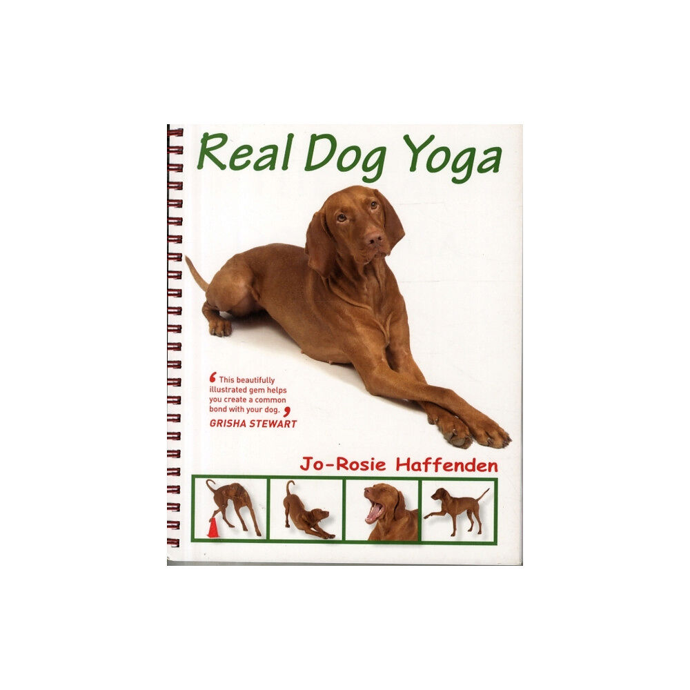 First Stone Publishing Real Dog Yoga (häftad, eng)