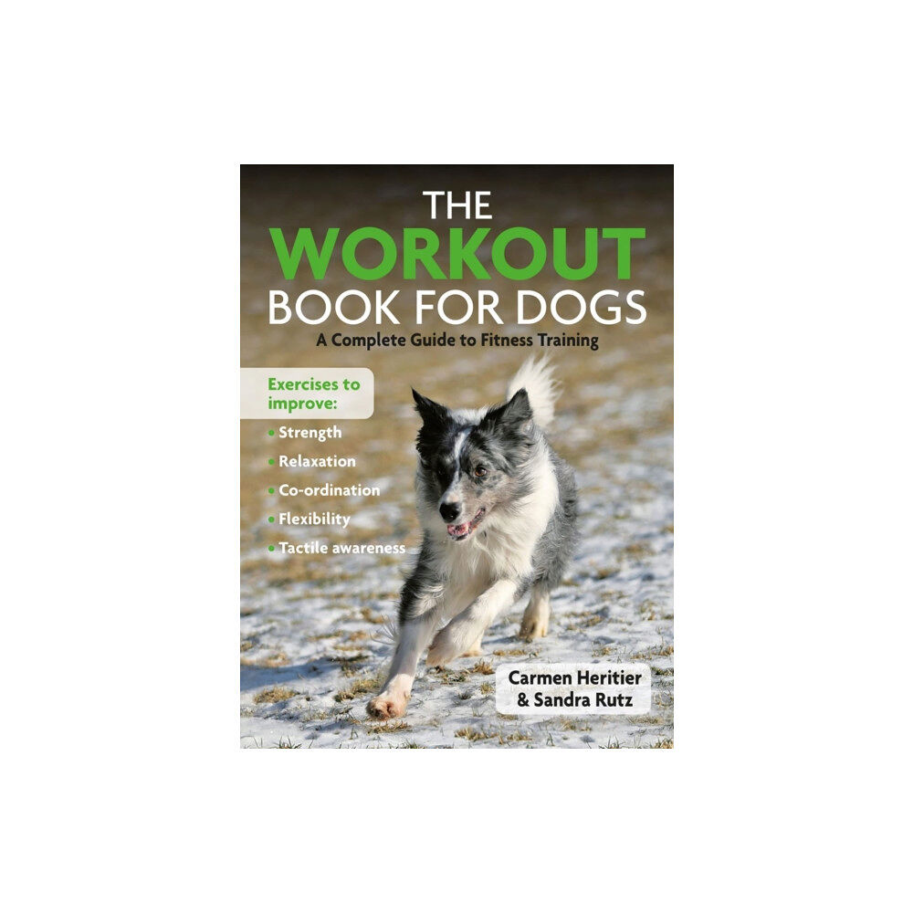 First Stone Publishing The Workout Book For Dogs (häftad, eng)