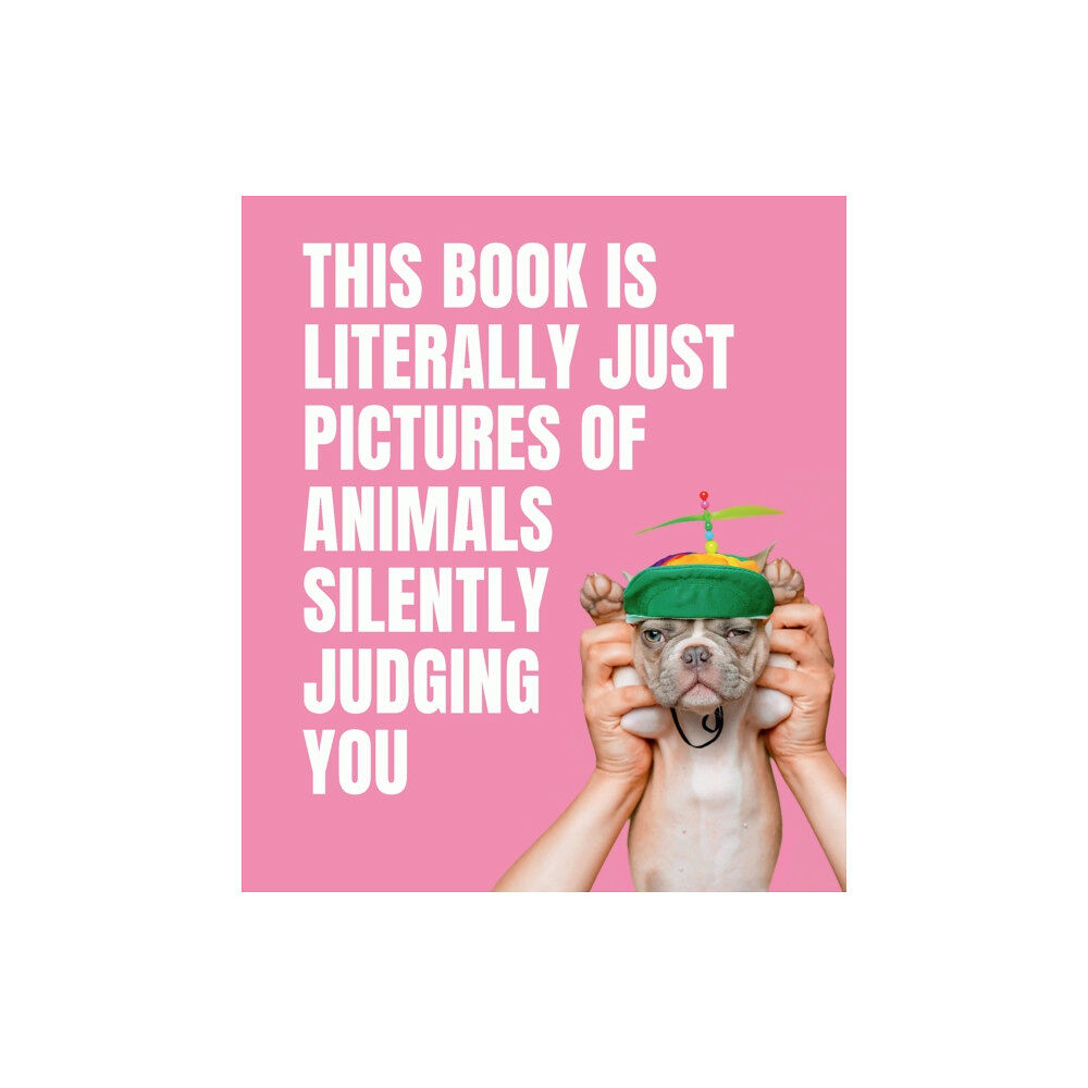 Smith Street Books This Book is Literally Just Pictures of Animals Silently Judging You (inbunden, eng)