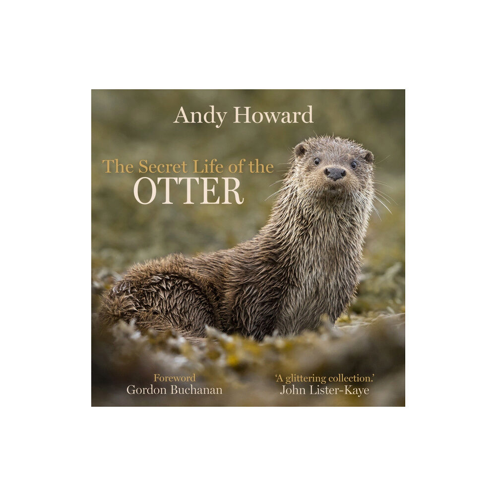 Sandstone Press Ltd The Secret Life of the Otter (inbunden, eng)