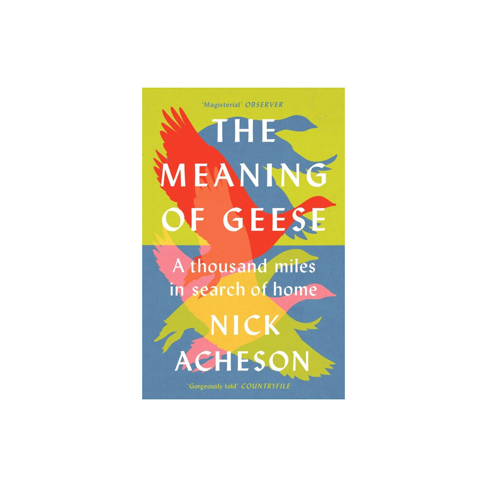 Chelsea Green Publishing UK The Meaning of Geese (häftad, eng)