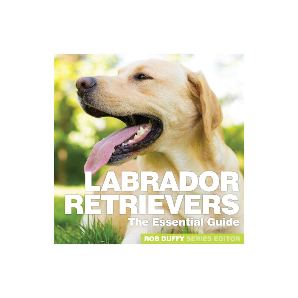 BX Plans Ltd Labrador Retrievers (häftad, eng)