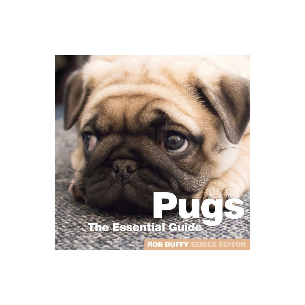 BX Plans Ltd Pugs (häftad, eng)