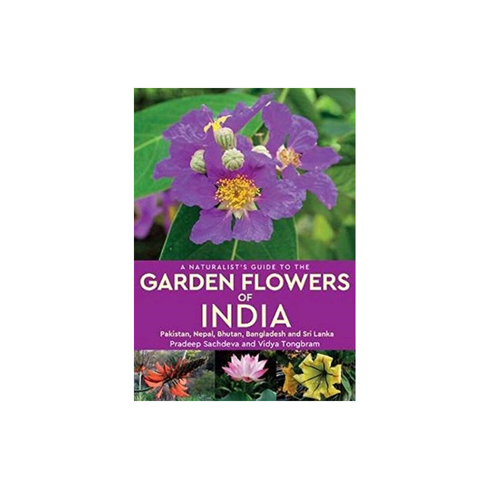 John Beaufoy Publishing Ltd A Naturalist's Guide to the Garden Flowers of India (häftad, eng)