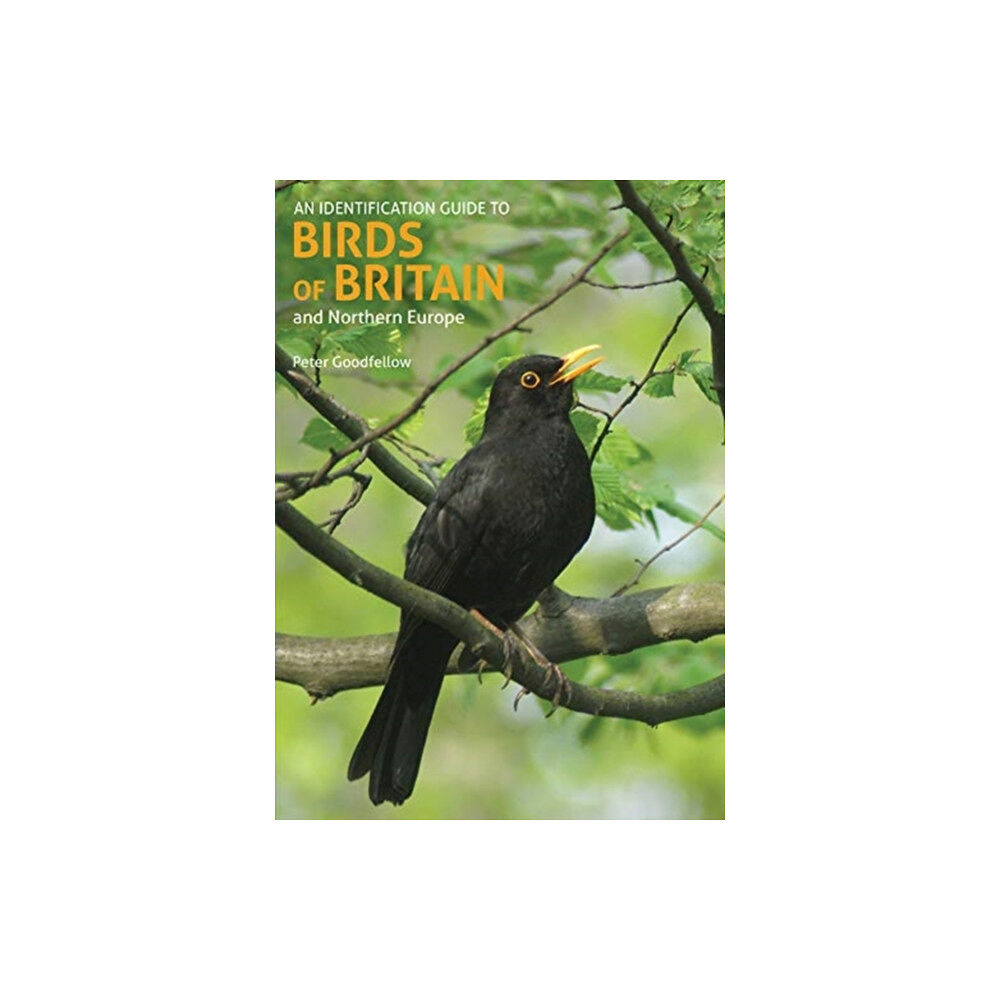 John Beaufoy Publishing Ltd An Identification Guide to Birds of Britain and Northern Europe (2nd edition) (häftad, eng)