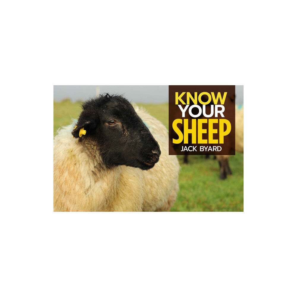 Fox Chapel Publishers International Know Your Sheep (häftad, eng)