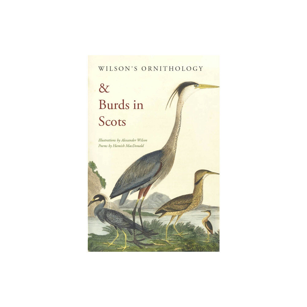 Scotland Street Press Wilson's Ornithology and Burds in Scots (häftad, eng)