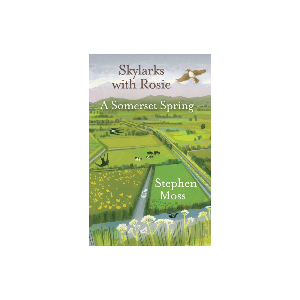 Saraband Skylarks with Rosie (inbunden, eng)