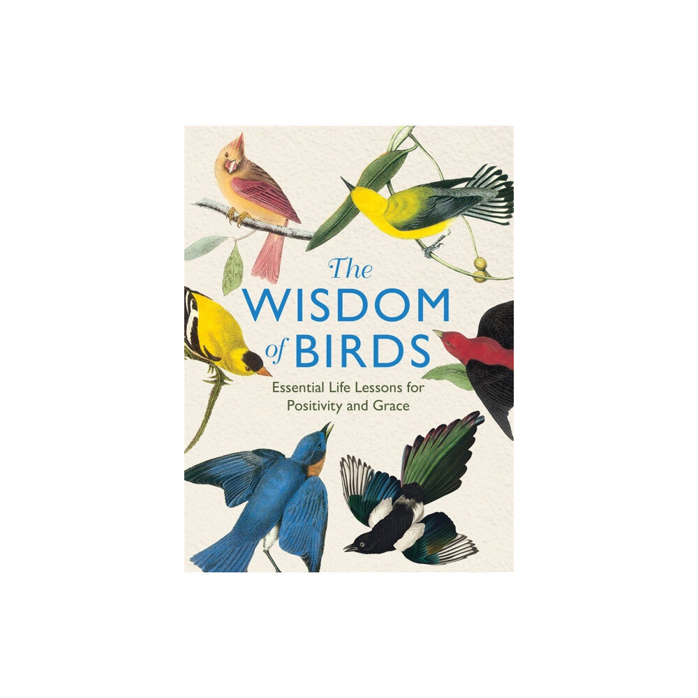 Michael O'Mara Books Ltd The Wisdom of Birds (inbunden, eng)