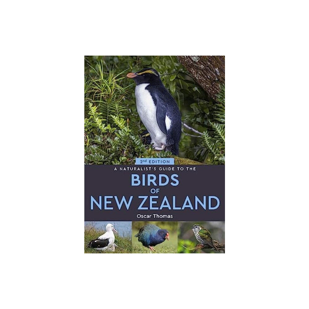 John Beaufoy Publishing Ltd A Naturalist's Guide to the Birds Of New Zealand (häftad, eng)