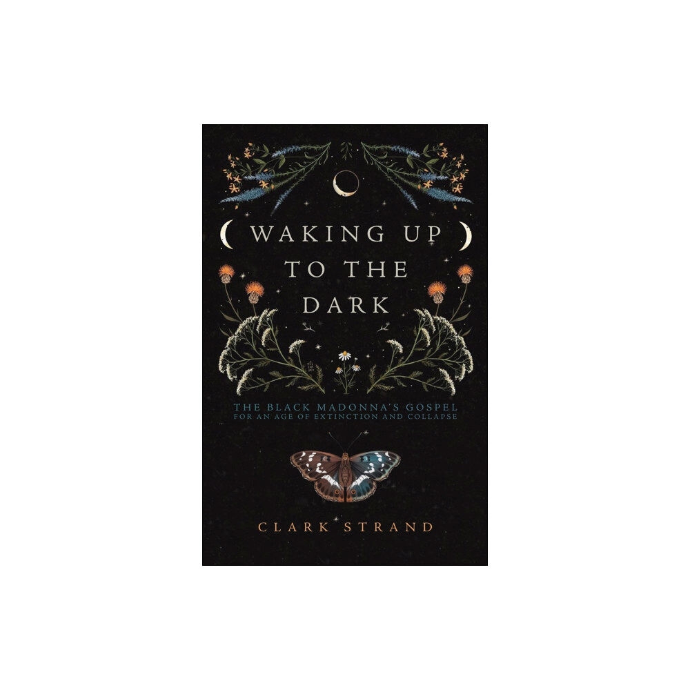 Monkfish Book Publishing Company Waking Up to the Dark (häftad, eng)