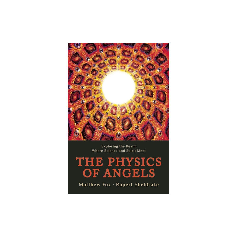 Monkfish Book Publishing Company Physics of Angels (häftad, eng)