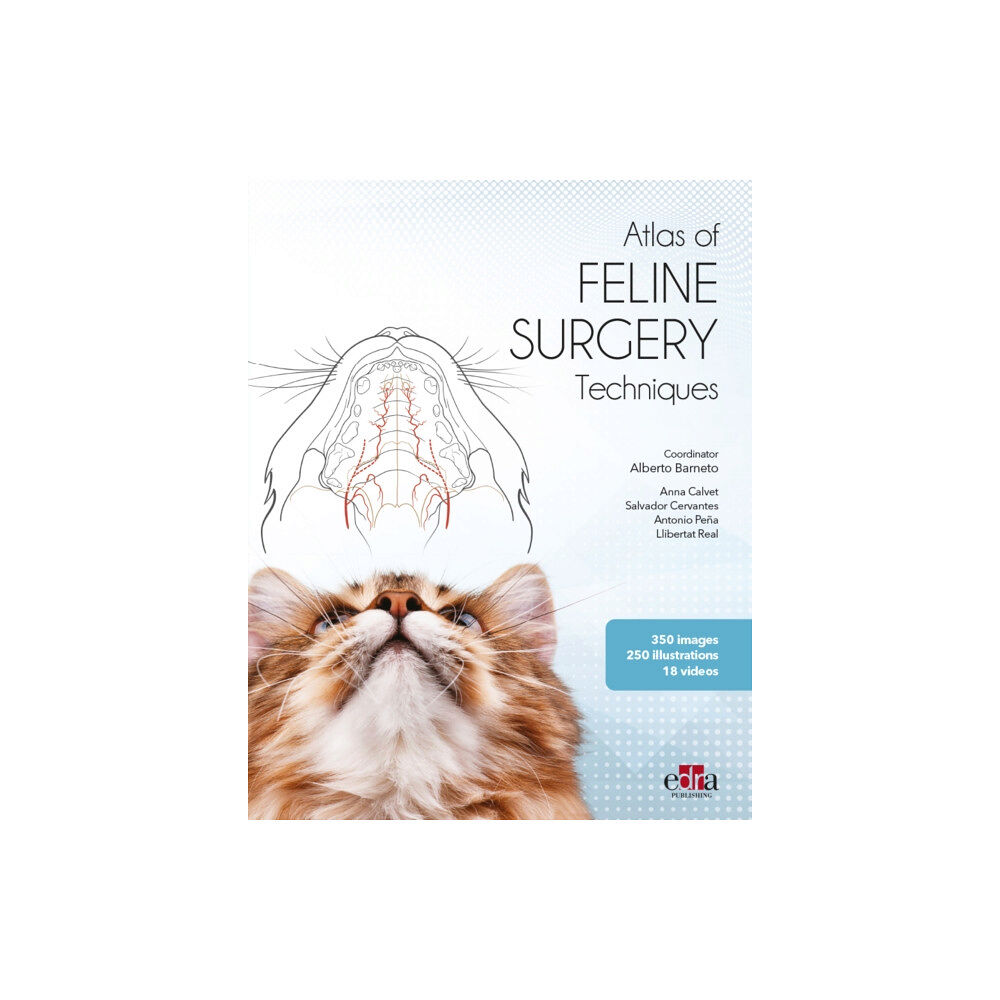 Edra Publishing US LLC Feline surgery (inbunden, eng)