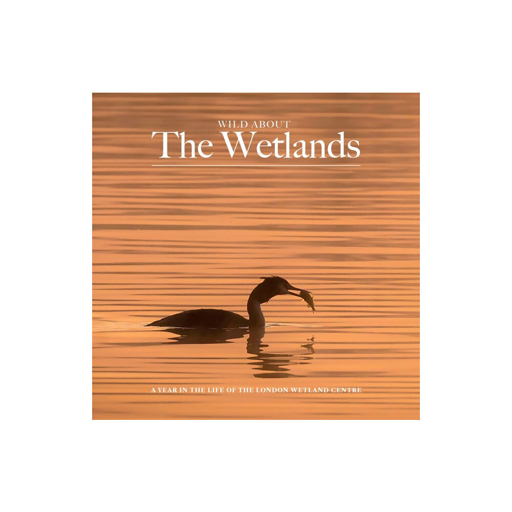 Unity Print and Publishing Ltd Wild about The Wetlands (inbunden, eng)