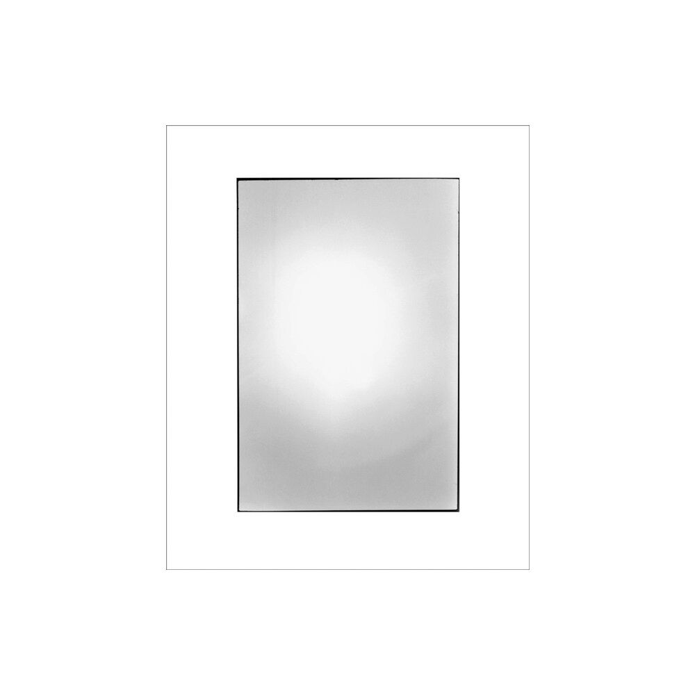 Dancing Foxes Press Zoe Leonard: Available Light (inbunden, eng)