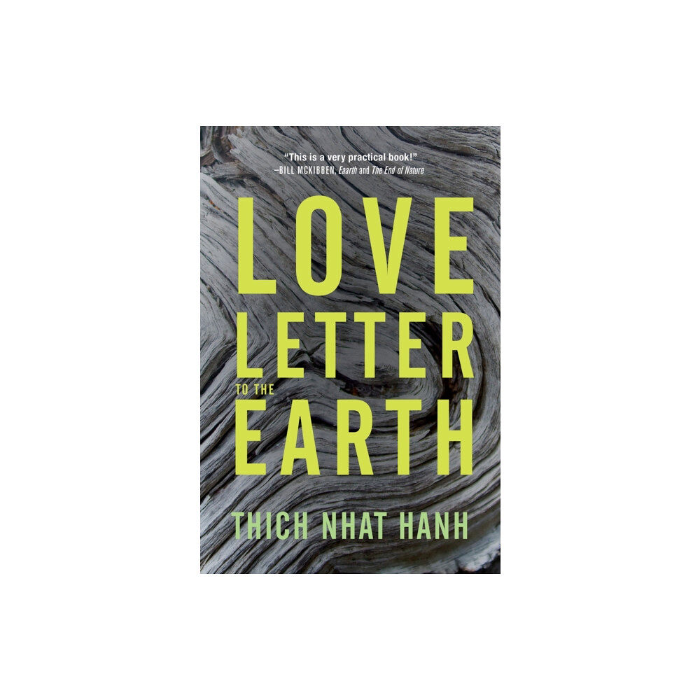 Parallax Press Love Letter to the Earth (häftad, eng)