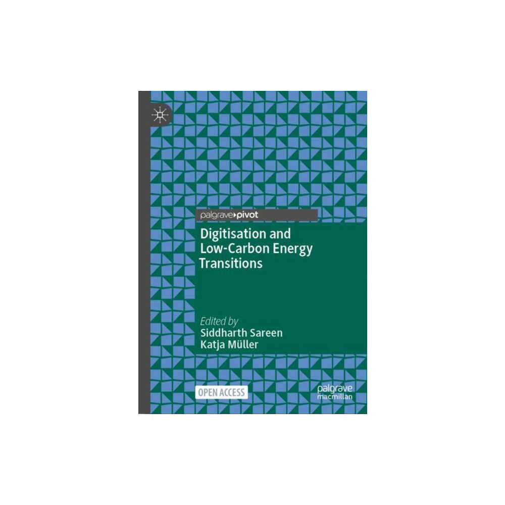 Springer International Publishing AG Digitisation and Low-Carbon Energy Transitions (inbunden, eng)