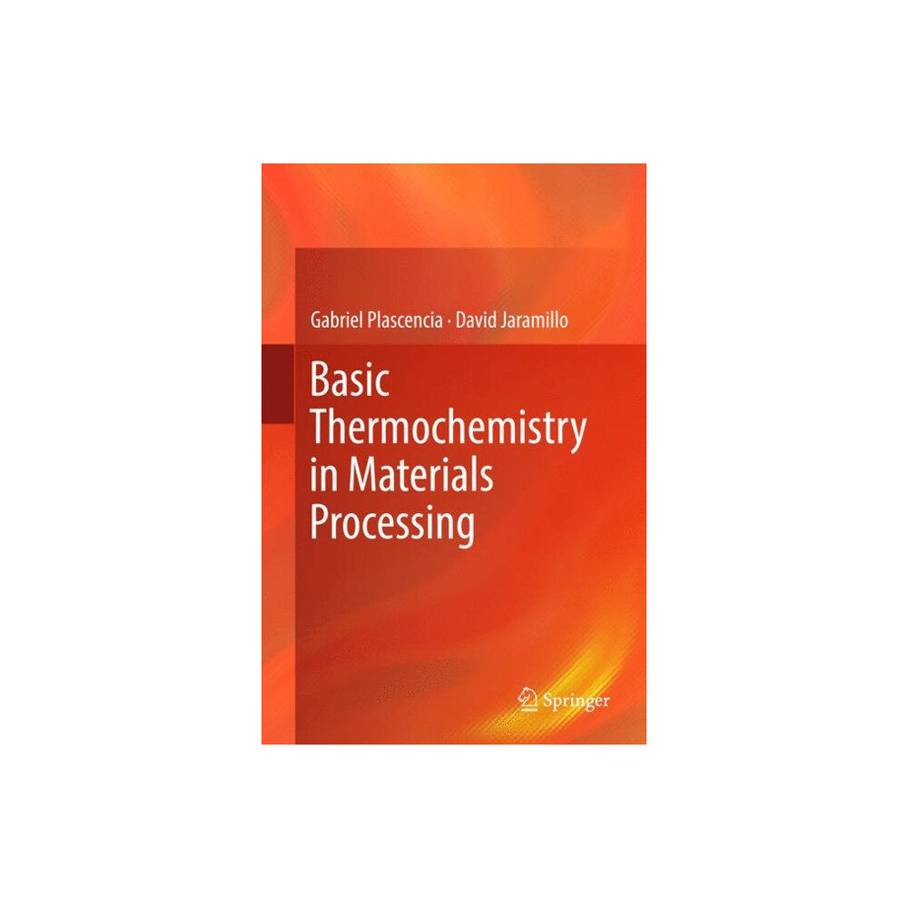 Springer International Publishing AG Basic Thermochemistry in Materials Processing (inbunden, eng)