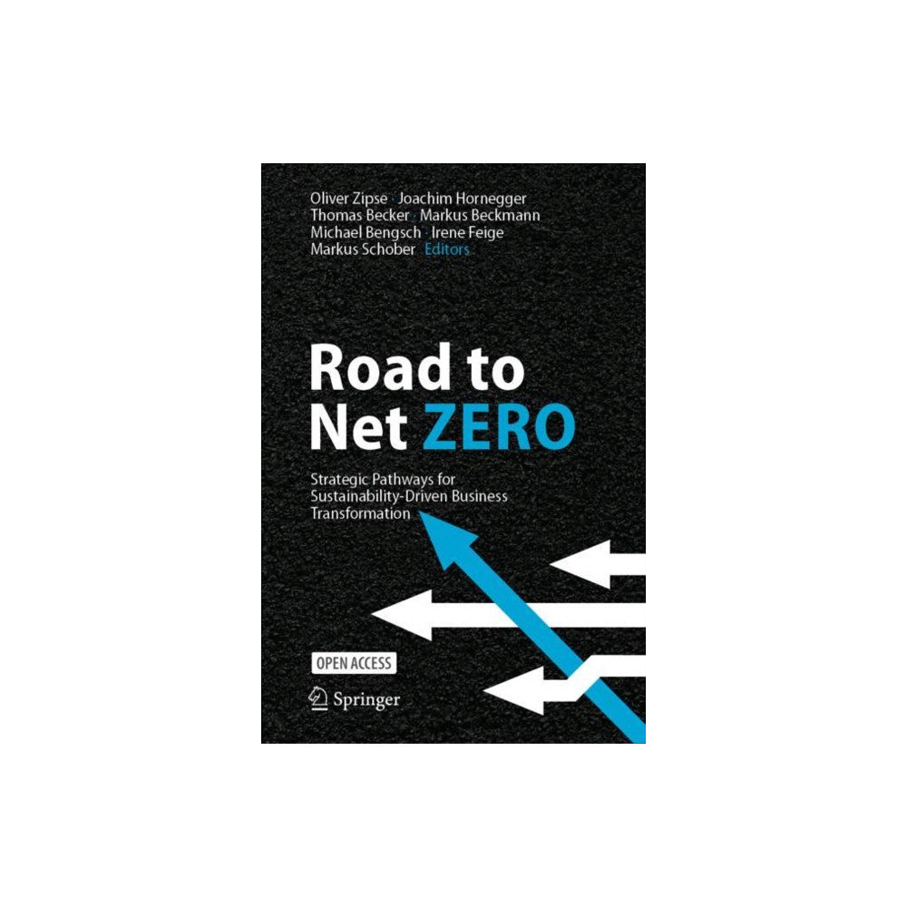 Springer International Publishing AG Road to Net Zero (inbunden, eng)