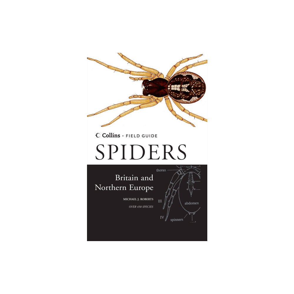 HarperCollins Publishers Spiders of Britain and Northern Europe (inbunden, eng)