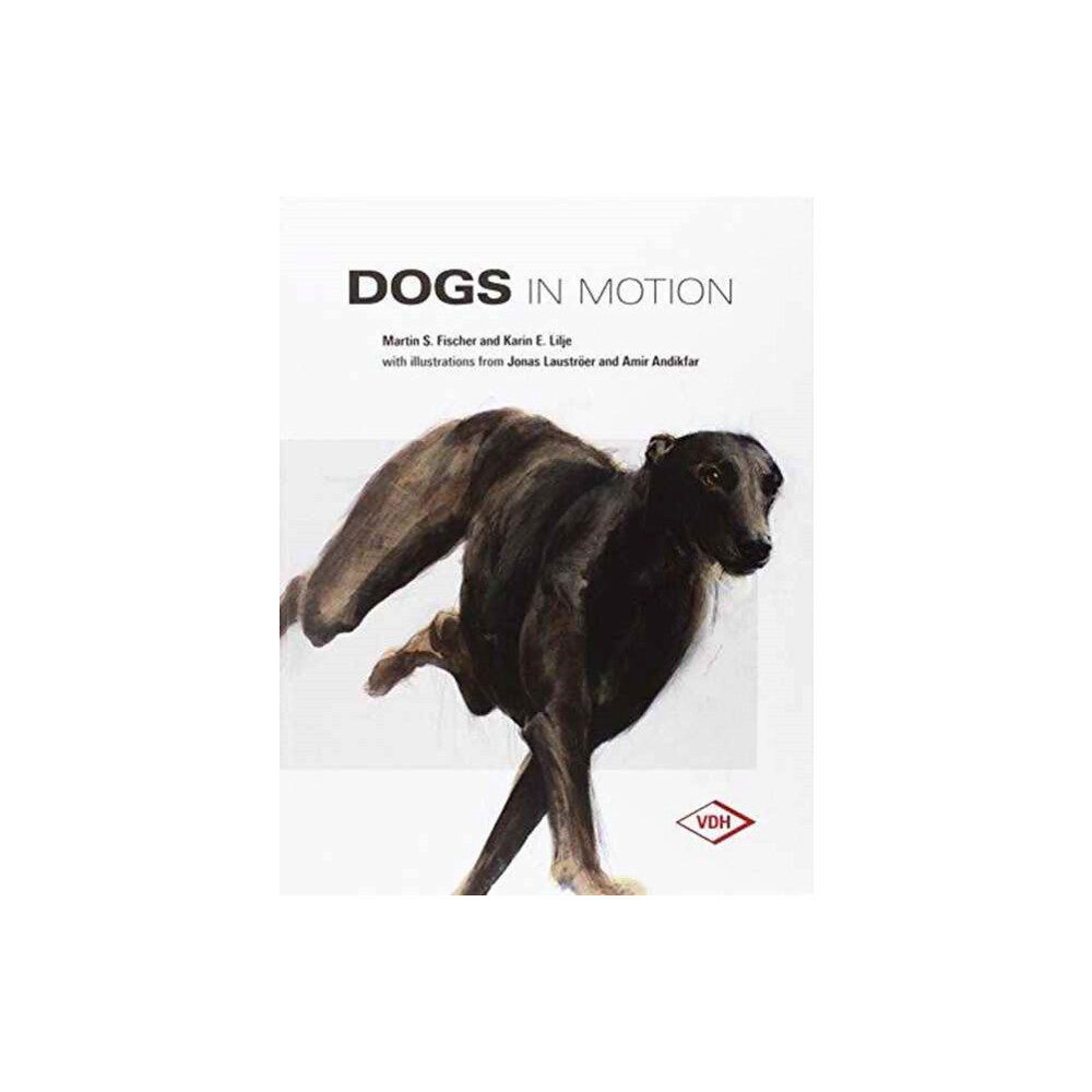 First Stone Publishing Dogs in Motion (inbunden, eng)