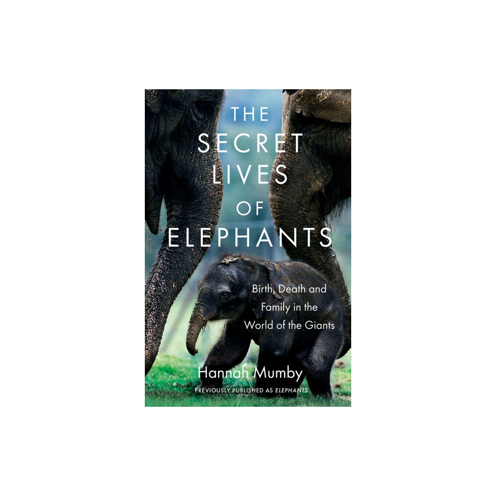 HarperCollins Publishers The Secret Lives of Elephants (häftad, eng)