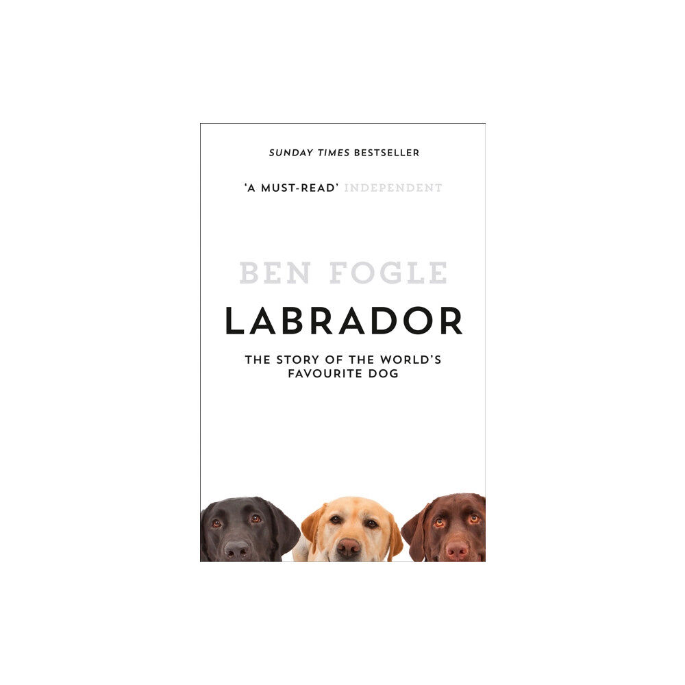 HarperCollins Publishers Labrador (häftad, eng)