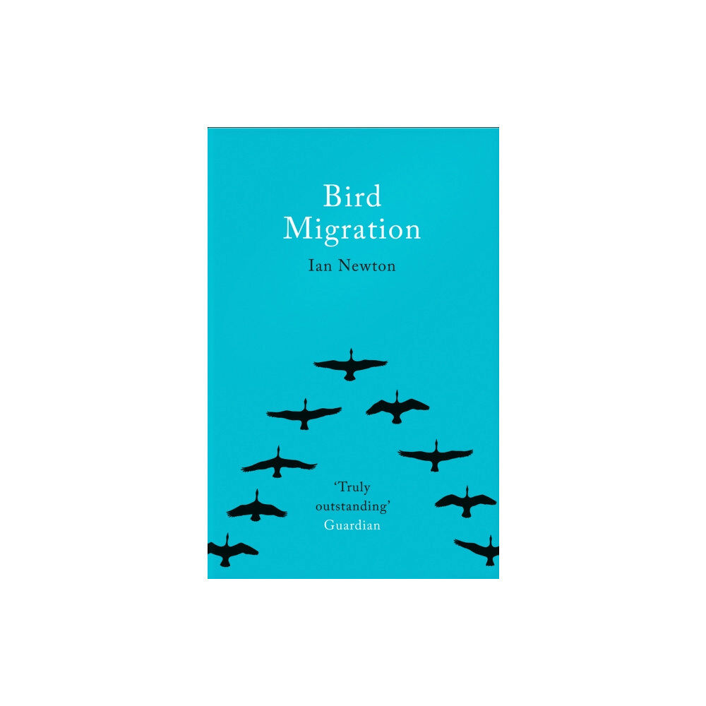 HarperCollins Publishers Bird Migration (häftad, eng)